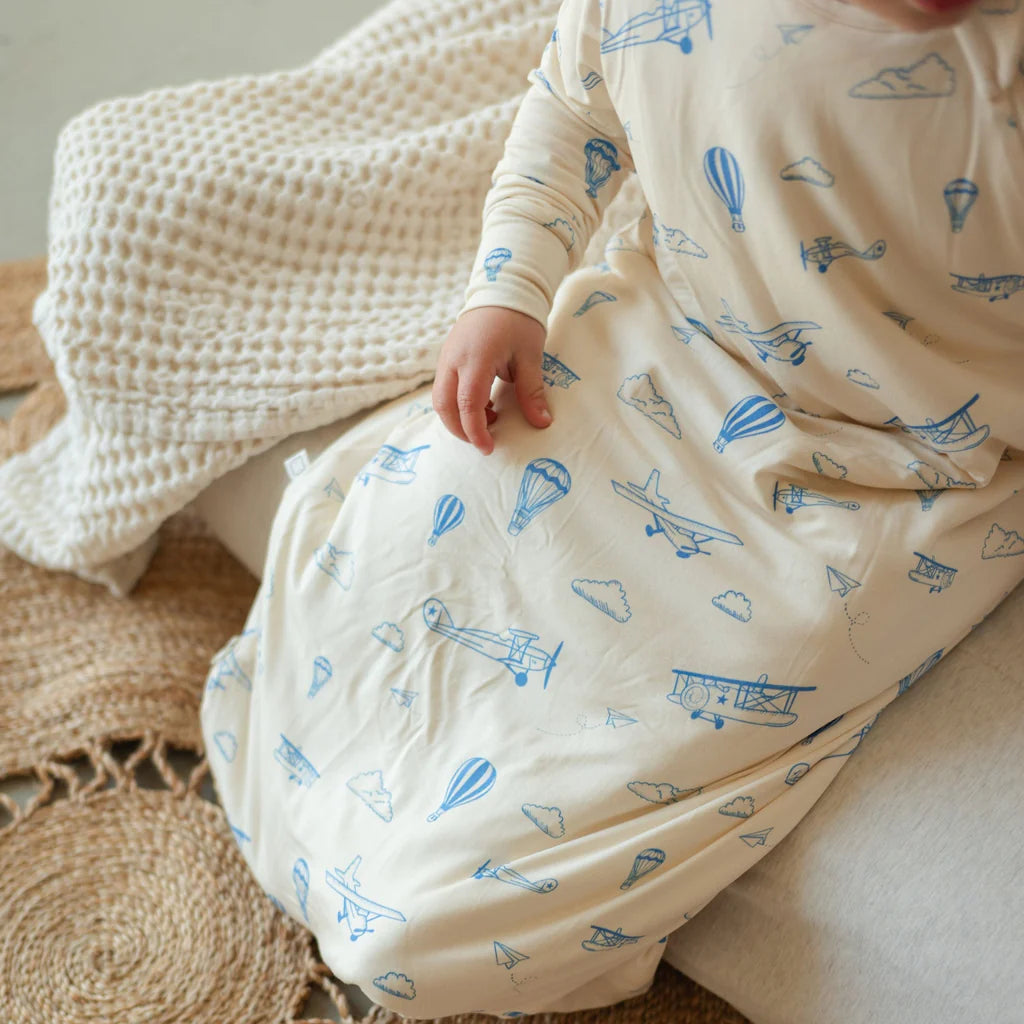 Roobear Planes Sleep Sack